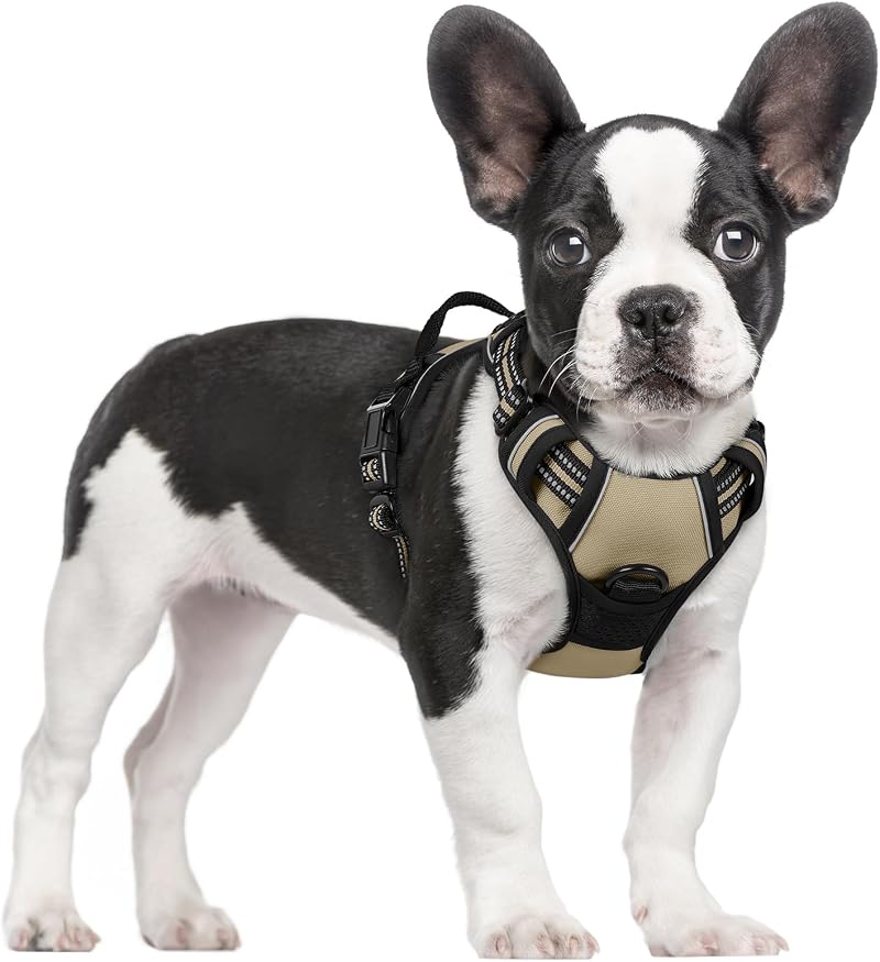 rabbitgoo Dog Harness Small No Pull Front & Back Leash Clips Adjustable