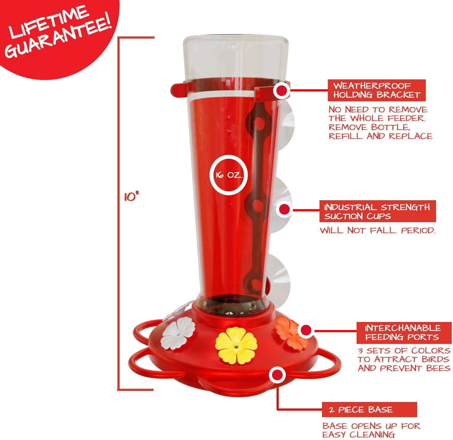 Nature Anywhere Window Hummingbird Feeders for Outdoors Including 3 Colors of Interchangeable Flowers for Hummingbirds Food and Nectar (Large) : Garden & Outdoor