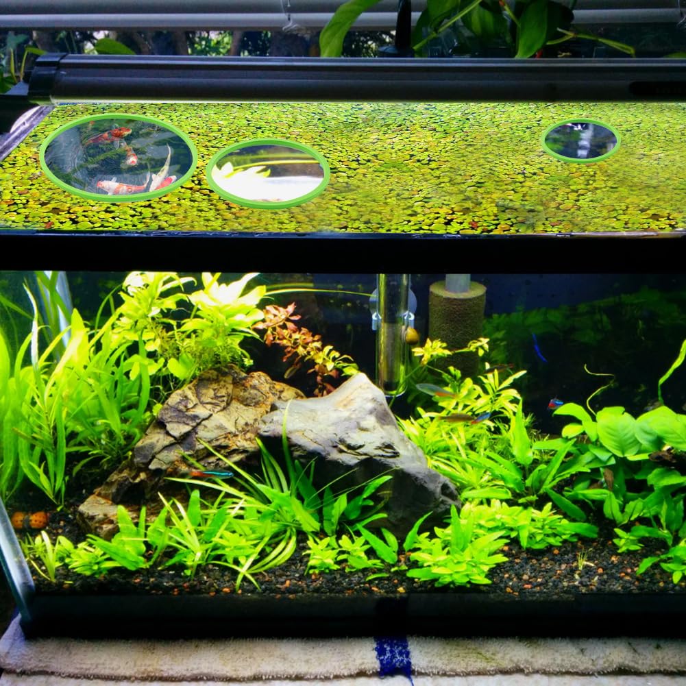 View 6