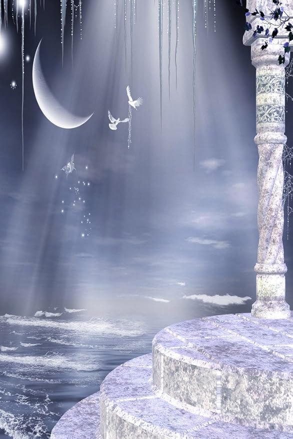 Gladsbuy Beach Wedding 8 X 8 Computer Printed Photography Backdrop Arches Or Pillars Theme Background Dt 11 267 Accessories Supplies Camera Photo Accessories Stanoc Com