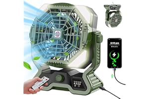 Roykaw Portable Camping Fan w/LED Lantern, 20000 mAH Rechargeable Battery, 36 H Beyond Endurance, Cordless for Outdoor, Stepless Speed/Dual Blade, w/USB Type C Port, Hang Hook