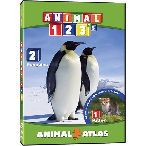 Amazon.com: Animal ABC's : McDonnell, Boyd: Movies & TV