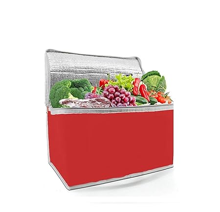 Ducomi Bolsa Nevera térmica - Termo frigorífico portátil para ...