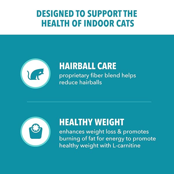 IAMS PROACTIVE HEALTH DRY CAT FOOD, INDOOR WEIGHT AND HAIRBALL CARE CAT FOOD DRY RECIPE, WITH SALMON, 7 LB. BAG