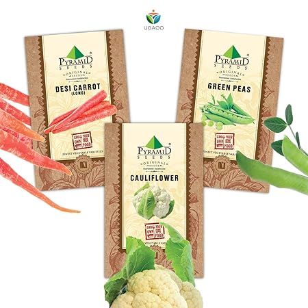 Pyramid Seeds Vegetable Seeds Combo Of Cauliflower, Green Peas, Desi Carrot (Long)