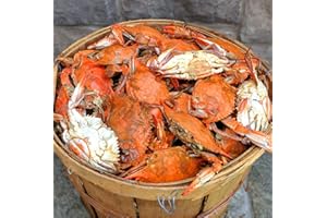 CAMERON'S SEAFOOD -EST. 1985 - Maryland Blue Crabs Females Sook Steamed (1 Dozen)