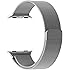OROBAY Replacement Band 38mm for Apple Watch, Stainless Steel Mesh Loop Magnetic Closure Clasp Apple Watch Wristband Strap for Apple iWatch Sports&Edition (Silver 38mm)