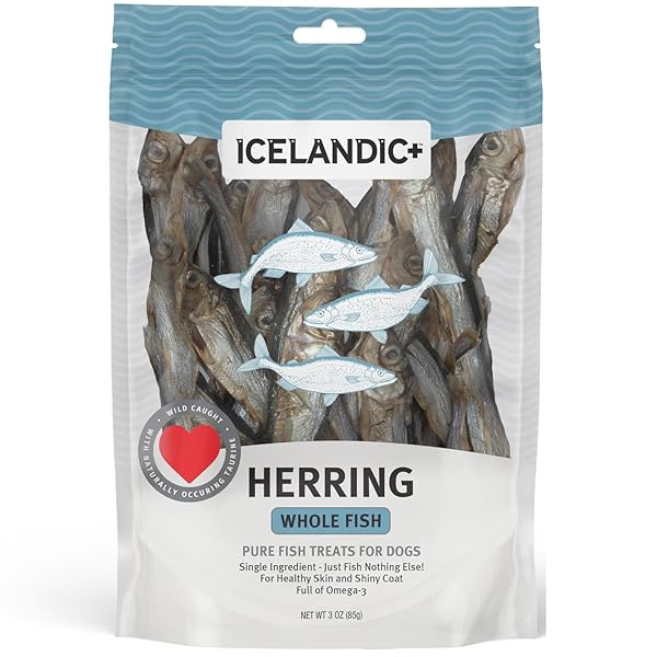 ICELANDIC+ WHOLE FISH HERRING – 3OZ BAG – DOG TREATS, PURE WILD-CAUGHT & AIR-DRIED, SINGLE INGREDIENT SNACK, PET CHEW, JUST THE FISH NOTHING ELSE