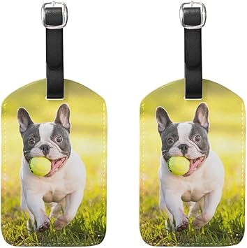 three dog leash coupler