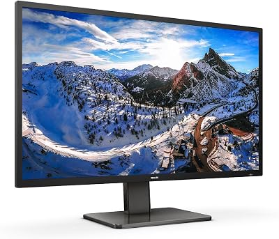 Philips 439P1 43 Inch 4K UHD Monitor USB-C Docking KVM Speakers HDR 400