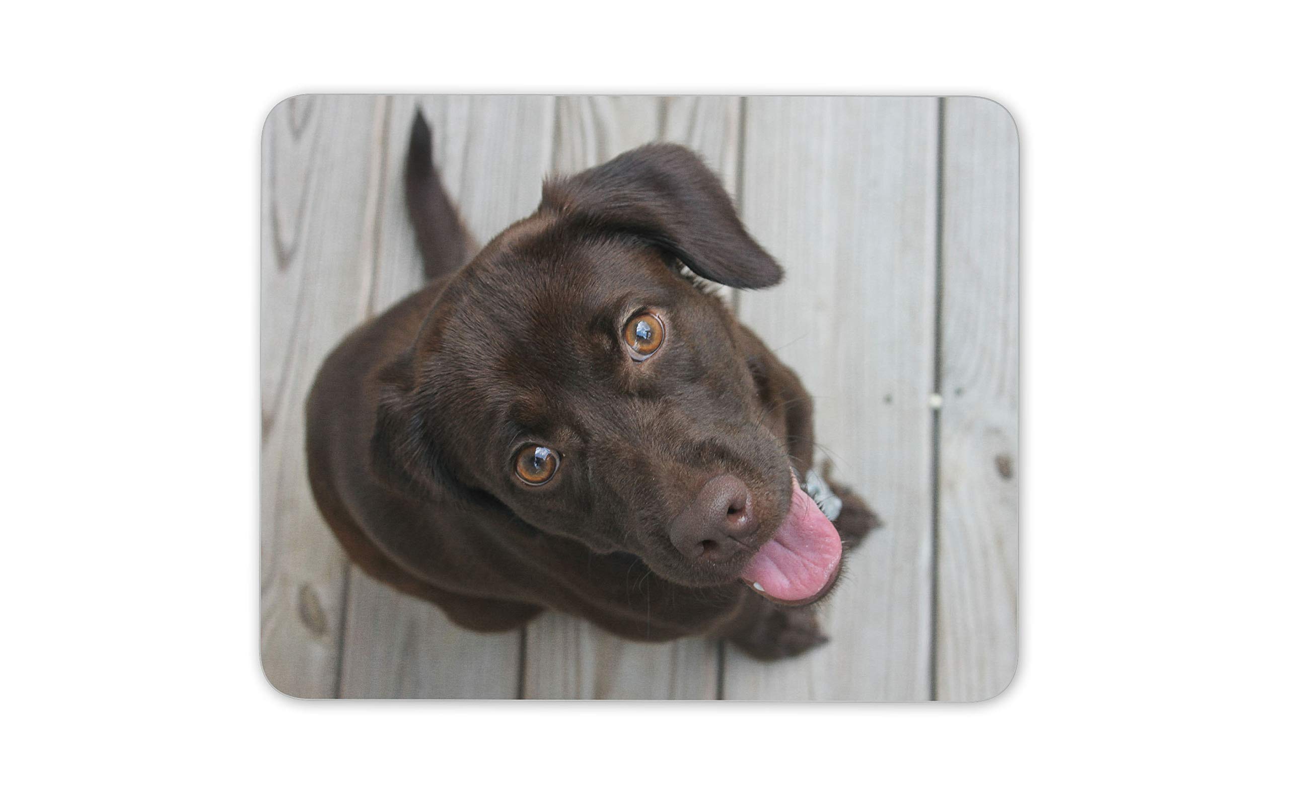 Destination Vinyl Ltd Adorable Chocolate Labrador Dog Mouse Mat Pad - Cute Fun Computer #14281