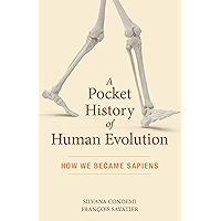 A Pocket History of Human Evolution: How We Became Sapiens book cover A Pocket History of Human Evolution: How We Became Sapiens book cover