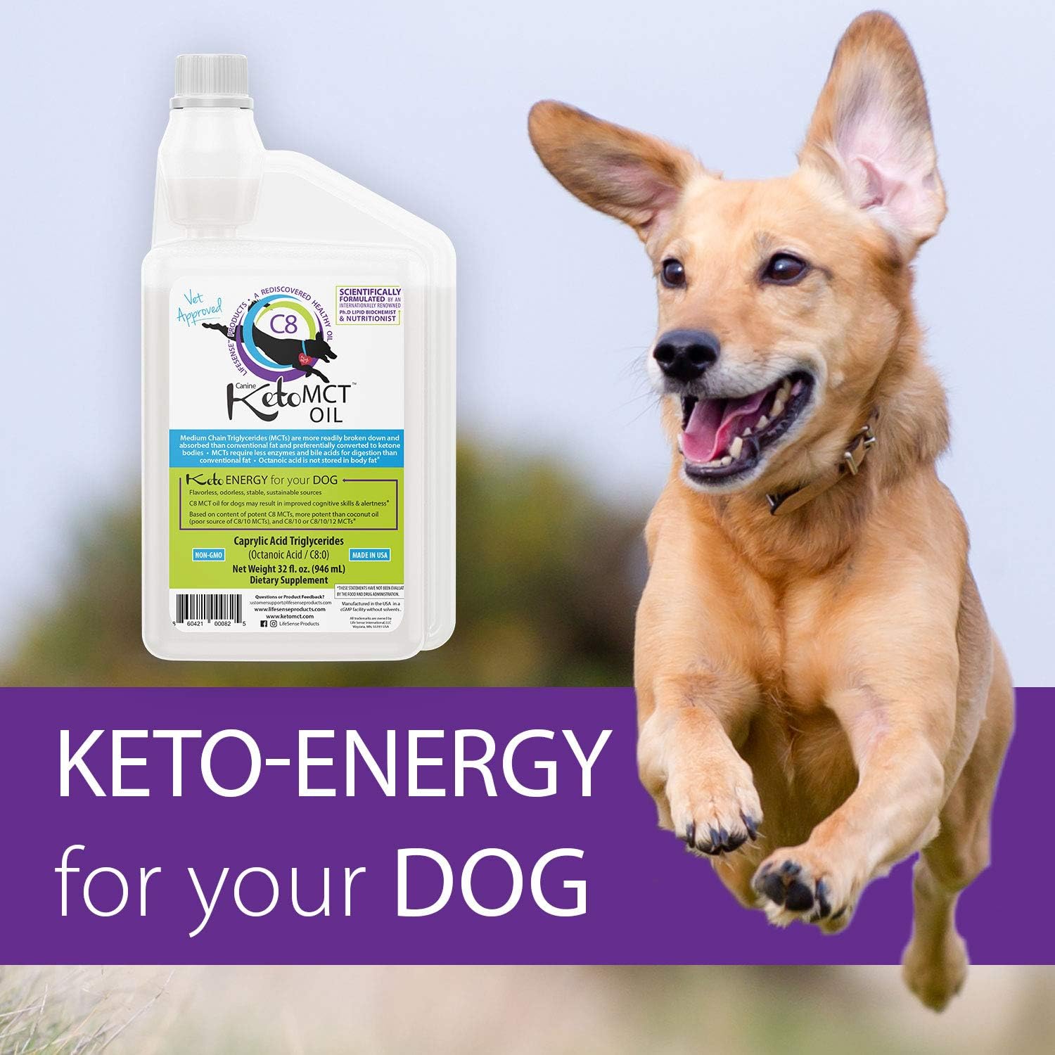 mct oil safe for dogs