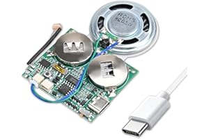 Icstation DIY Light Sensor Sound Module, Type-C USB Recordable Sound Chip 8M Memory Speaker Talking Programmable Music Player Box for Christmas Greeting Card Anniversary