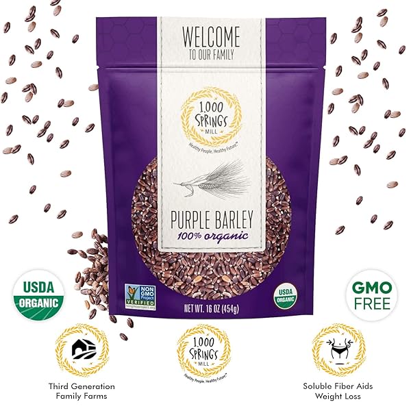 1000 SPRINGS MILL – ORGANIC PURPLE BARLEY | USED FOR CEREALS, SALADS, WHOLE WHEAT BREAD, FRESH BARLEY FLOUR, SPROUTING SEEDS, AND MORE | BULK DRIED GRAIN | RESEALABLE BAG | 16OZ (PACK OF 1)