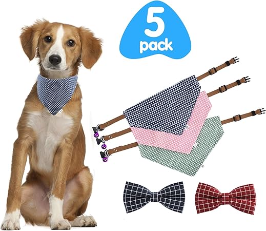 puppy bandana collar