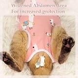 ANWA 2 Pack Cat Recovery Suit Breathable After Surgery Female Kitten Recovery view 3