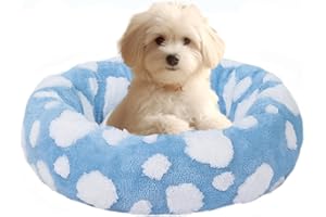 HYQ Small Dog Bed, Cat Beds for Indoor Cats, Dog Beds for Small Dogs with Anti-Slip Bottom, Cute Puppy Bed Washable-Blue-20inch