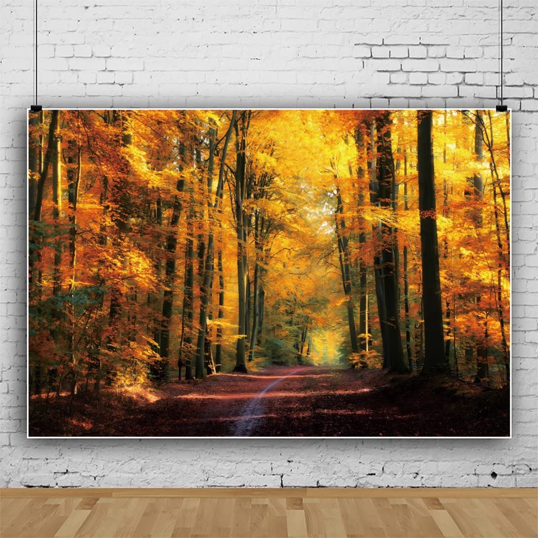 Ttincceer 220x150cm Fall Forests Backdrop Autumn Maple Forests Golden Leaves Plant Photography Background Red Deciduous Leaves Dirt Road Natural Scenery Background