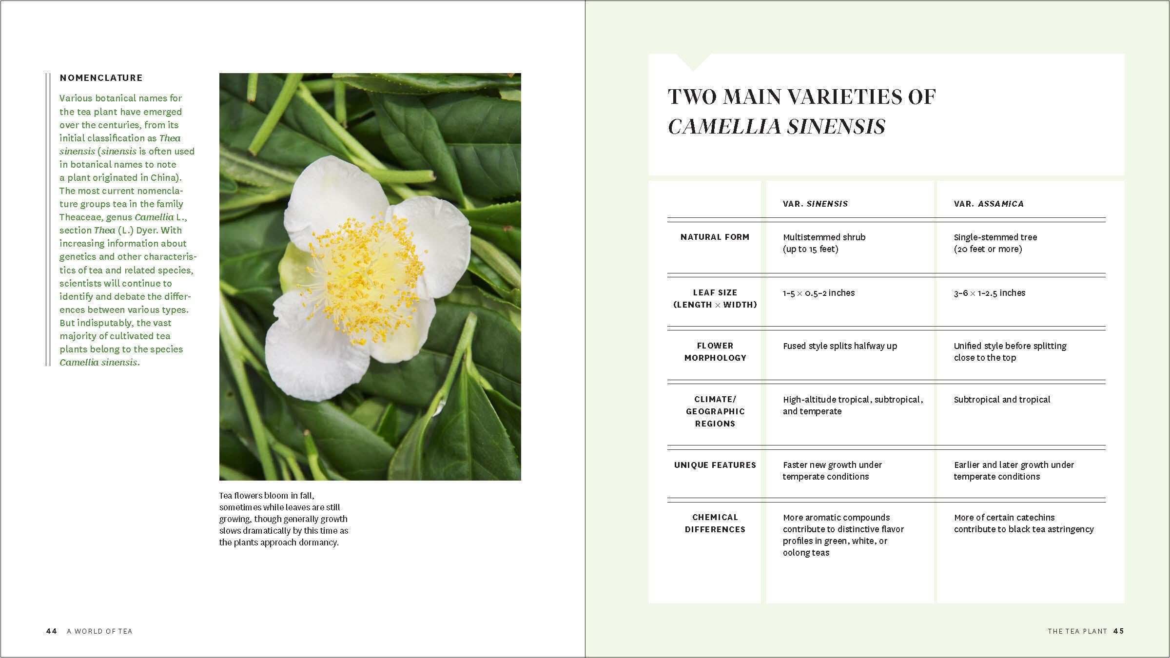 Grow Your Own Tea: The Complete Guide to Cultivating, Harvesting, and Preparing