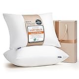 Bedsure Pillows Queen Size Set of 2 - Soft Bed