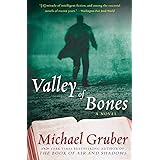 Valley of Bones: A Novel (Jimmy Paz, 2)