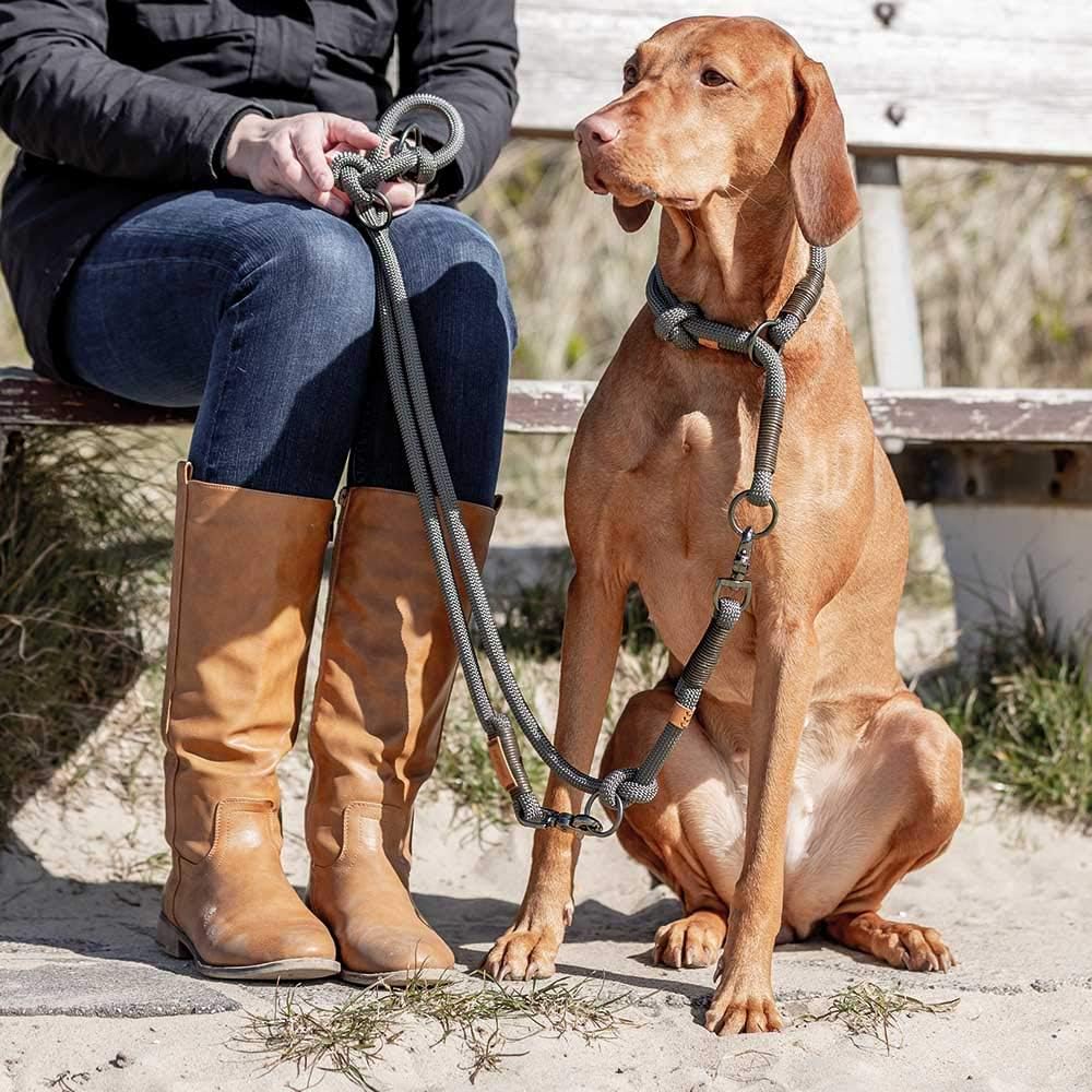 TRIXIE BE NORDIC extension leash, dark grey/brown, 2 metros - Image 5
