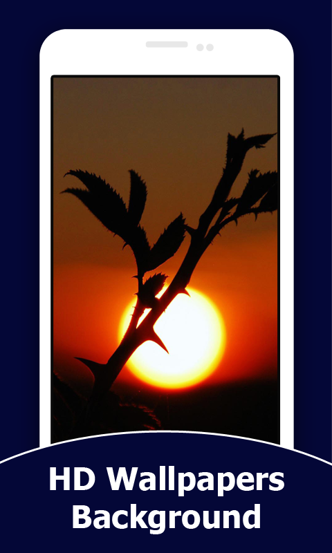 Sunset Wallpapers And Background
