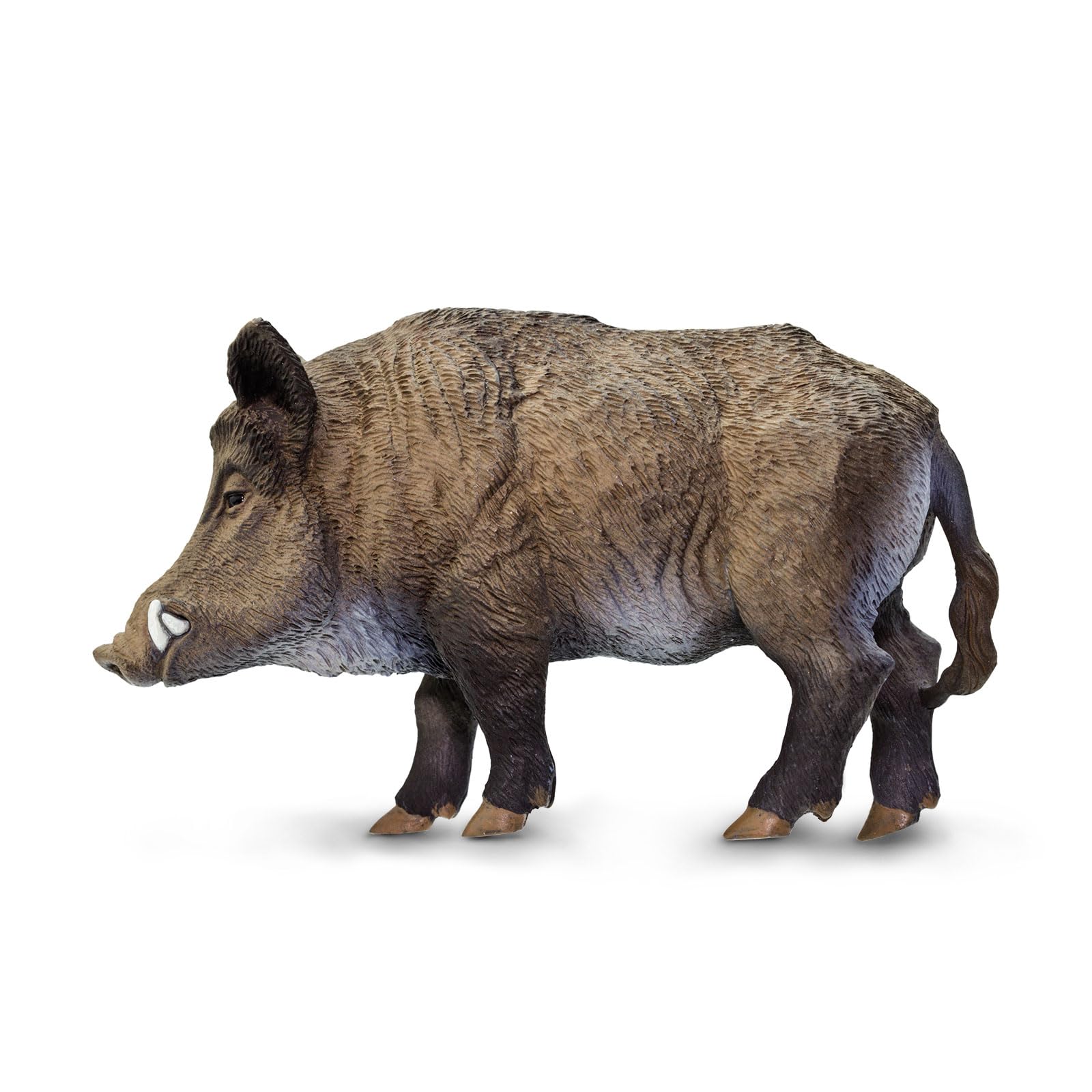 Wild Safari Sea Life: Boar