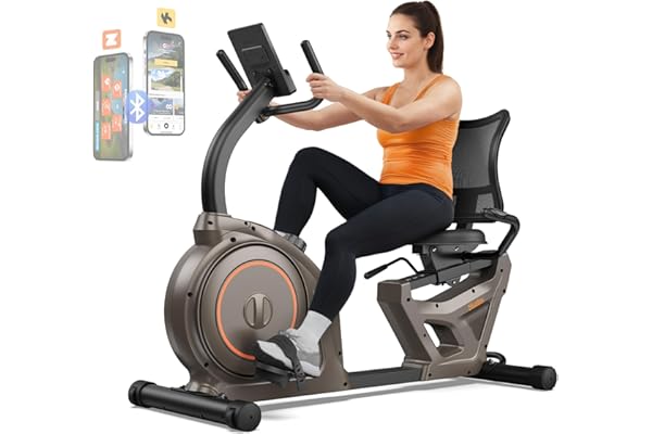 Niceday Recumbent Exercise Bike, Recumbent Bike for Home, Recumbent Stationary Bike 400LBS Weight Capacity, Magnetic Recumben