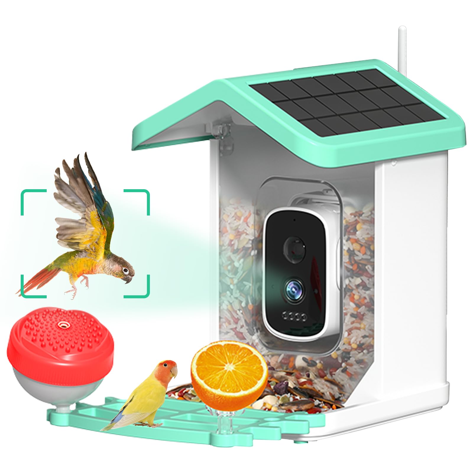 Bird Feeder with Camera, 4K HD AI Birds Species Identification Cam ...