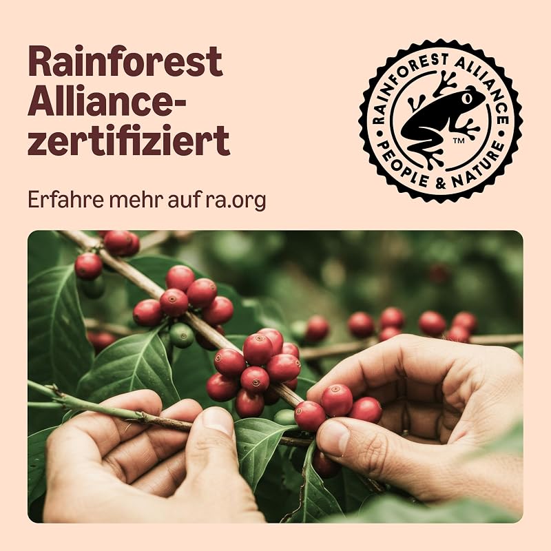Espresso-Kaffeekapseln aus Aluminium, kompatibel mit Nespresso, leicht geröstet, 100 Stück (5 Packungen mit je 20 Stück) – Rainforest Alliance zertifiziert