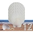 12 Pcs Sea Shells White Large Scallop Shells for Baking Cooking, Big Natural Clam Seashells for DIY Crafts Seashell Beach Decorating for Home Decor(3.5-4inch)
