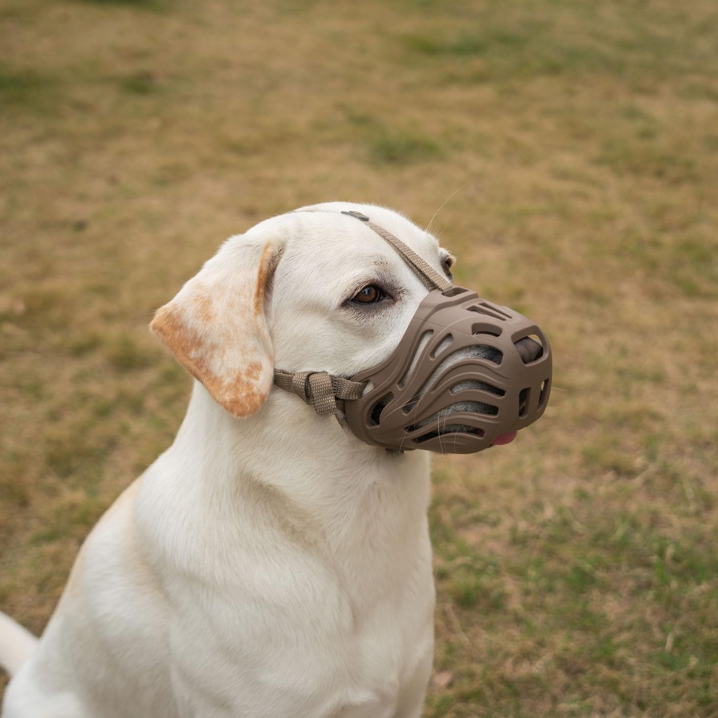 Photo 1 of Diketone Dog Muzzle for Large Dogs Silicone Dog Muzzle, Dogs can Pant and Drink to Prevent Biting, Chewing and Barking (Coffee, M-5)