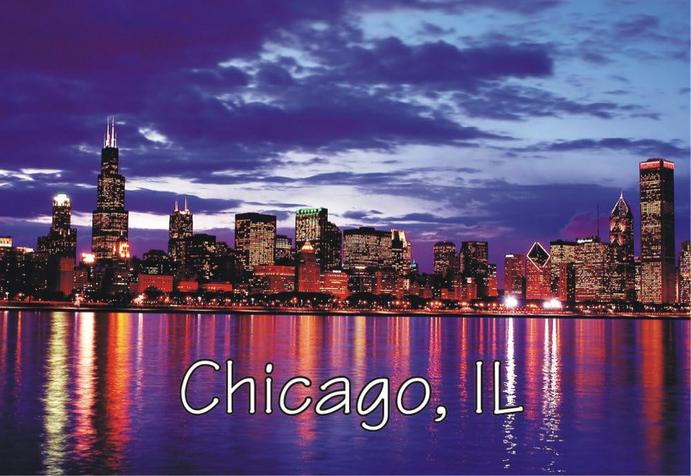 Which Is The Best Refrigerator Magnets Chicago