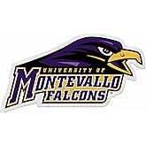 Rico Industries NCAA Montevallo Falcons Shape Cut Pennant - Home and Living Room Décor - Soft Felt EZ to Hang
