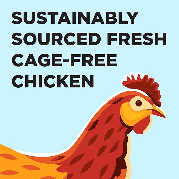 BIXBI LIBERTY DRY CAT FOOD KITTEN HEALTH CHICKEN RECIPE, 2.5LB