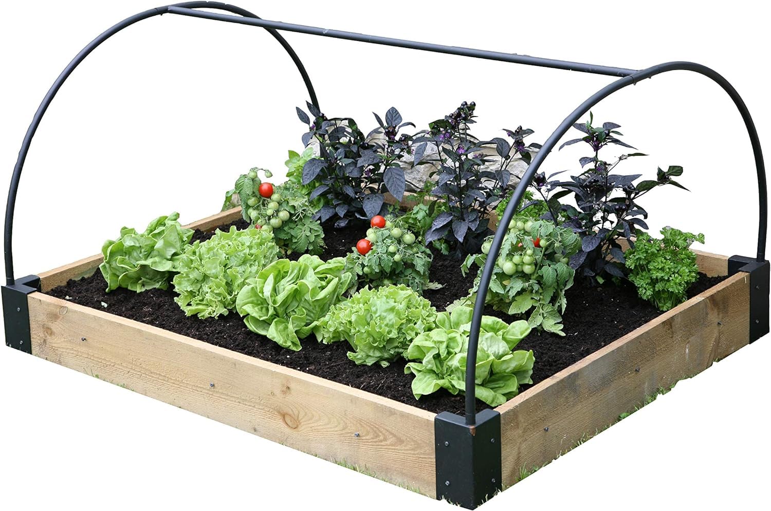 Haxnicks Raised Bed Frame | Strong Support Frame For Plant Protection Fabric Covers | Multi-Color, 120 x 100 x 50 cm | Bed010102
