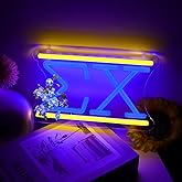 AGJKSGH Siigima Neon Sign letter Chi Neon Sign Fraternity Neon Signs, EX Signs Lights with USB Power and Dimmable, Paraphernalia Fraternity Gifts for Women,Birthday Party Decorative