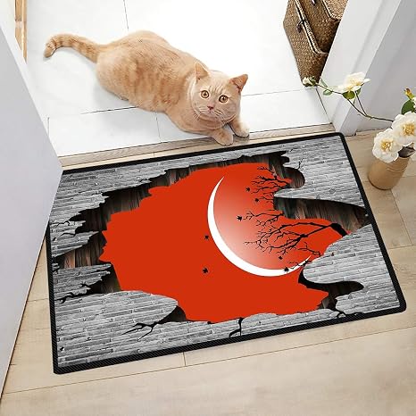 Amazon メガネ付きの玄関ドアのかわいい猫のための歓迎マットクリスマスドアマット屋内ロッカーラグ 75x45cm 玄関マット オンライン通販