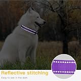 HEELE Reflective Dog Collar Purple Medium Large Adjustable 40-66cm view 6