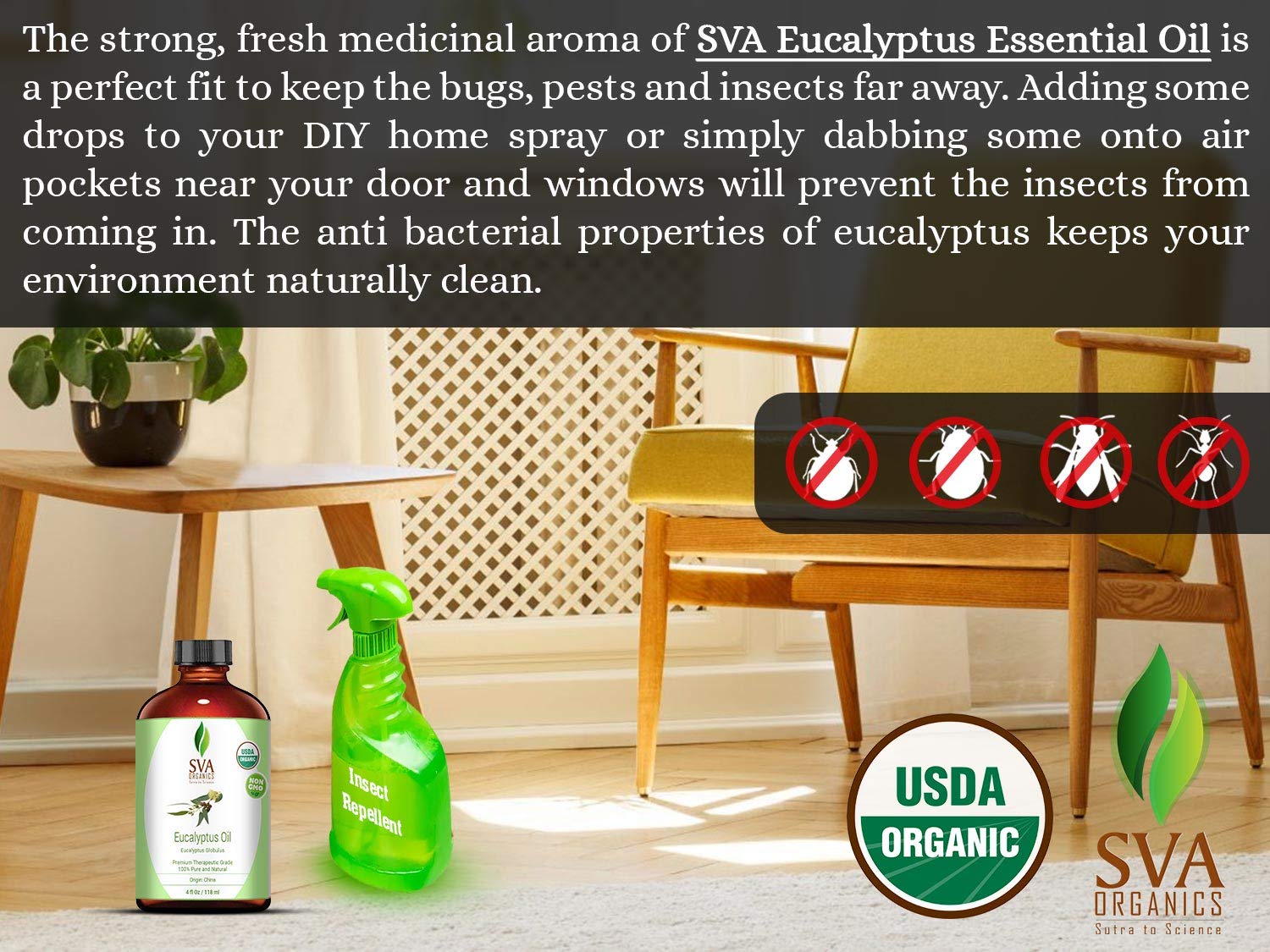 SVA Organics Eucalyptus Essential Oil Organic 4 Oz USDA with Dropper 100% Pure Natural Undiluted Premium Therapeutic Grade Oil for Diffuser, Aromatherapy, Face, Body & Hair Care: Beauty