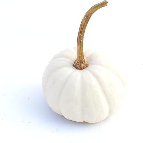 Mini Baby Boo Kurbis Weiss Als Dekokurbis Fur Halloween Und Als Speisekurbis Weisse Deko Amazon De Kuche Haushalt