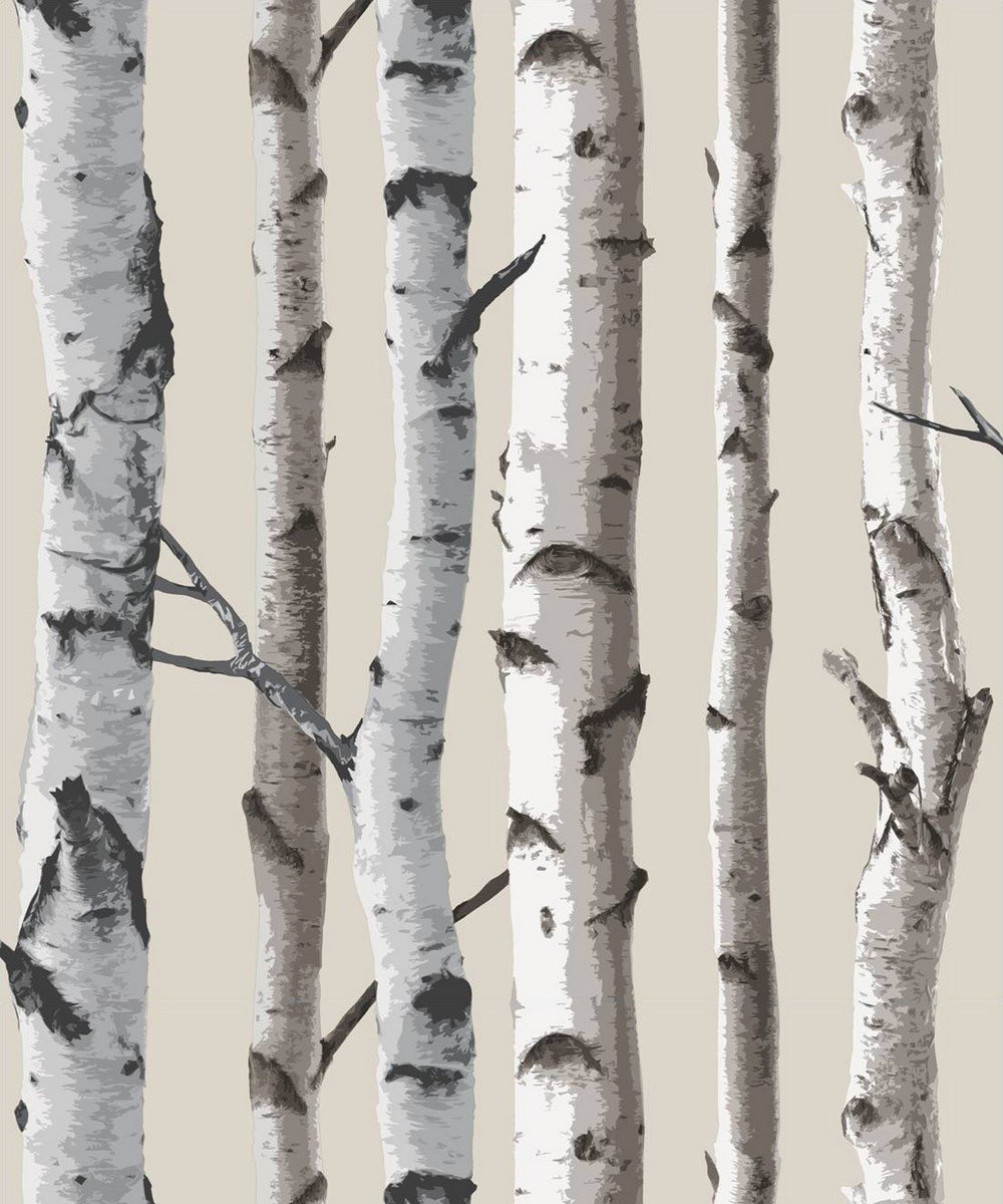 Brewster FD31051 Birch Tree Wallpaper - Natural