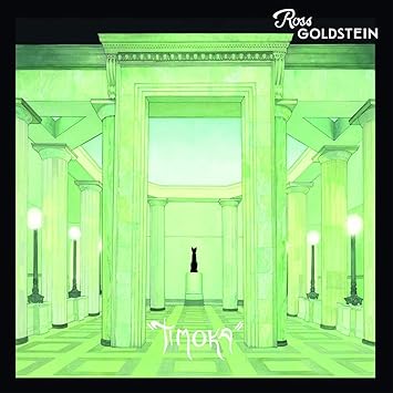 Timoka Inclus Lien De Telechargement Ross Goldstein Ross Goldstein Amazon Fr Musique