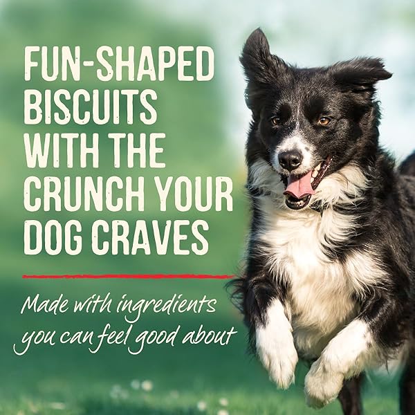 MERRICK OVEN BAKED NATURAL AND CRUNCHY BAG OF TREATS, DOG CHICKEN TREATS, GRAMMY’S POT PIE WITH REAL CHICKEN – 11 OZ. BAG