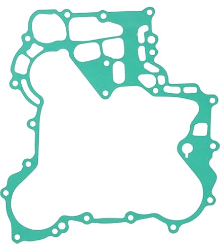 Amazon.com: Sea-Doo OEM, 420431682-1 : Automotive