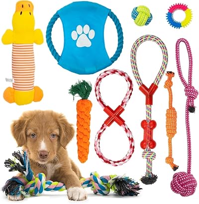 Fur & Bone 10-Pack Puppy Chew Toys - Indestructible Rope & Squeaky Teething