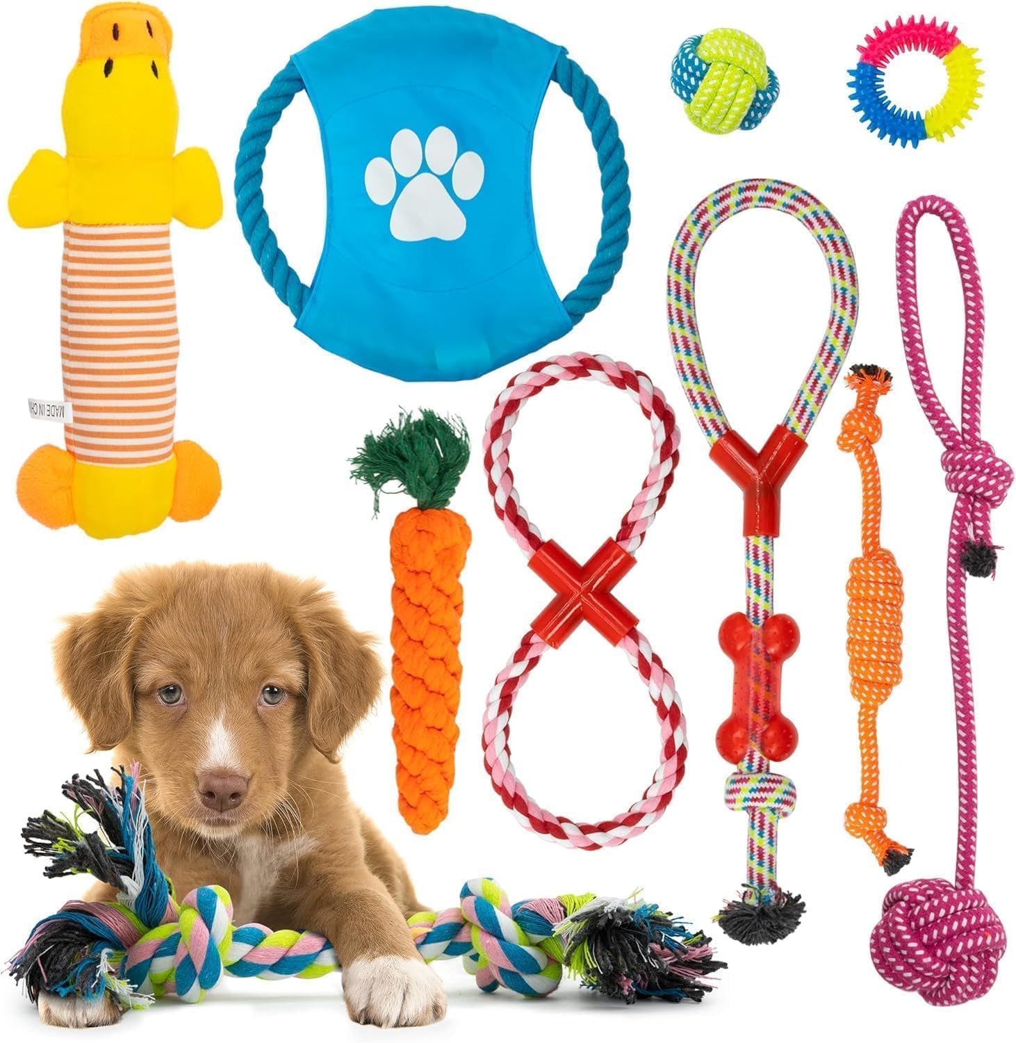 Fur & Bone Dog Chew Toys (10-Pack) - Puppy Toys for Boredom - Indestructible Rope & Squeaky Teething Toys for Small & Medium Dogs
