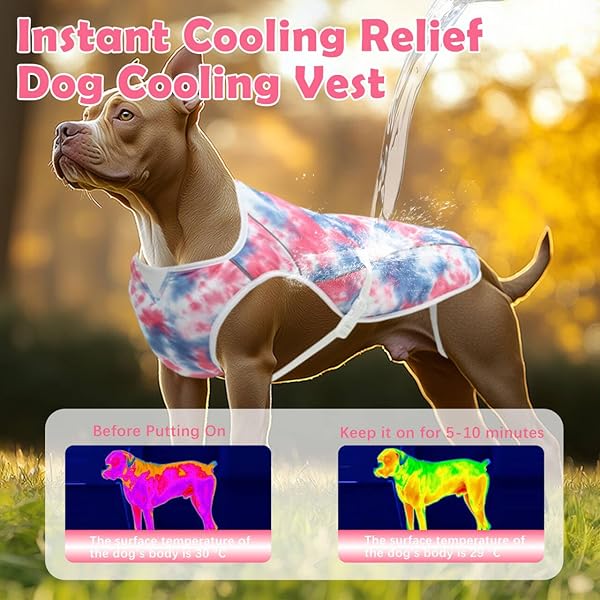 UNIPUP DOG COOLING VEST – HARNESS COOLER JACKET FOR LARGE DOGS, REFLECTIVE STRIPS & UV PROTECTION FOR BEACH, HIKING, CAMPING – ADJUSTABLE FIT PET COOLING SHIRT U-DCVF01XL